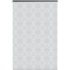 Штора рулонная Neo Classic 60x160 см серая