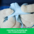 Мастика гидроизоляционная Hydro-tec membrane U 7 кг
