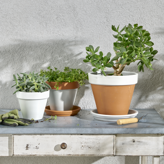 Эмаль аэрозольная декоративная Luxens глянцевая цвет белый 210 мл