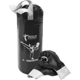 Детский игровой набор Absolute Champion Я-Чемпион