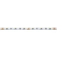Светодиодная лента Navigator 71 424 NLS-5050W60-14.4-IP20-12V R5