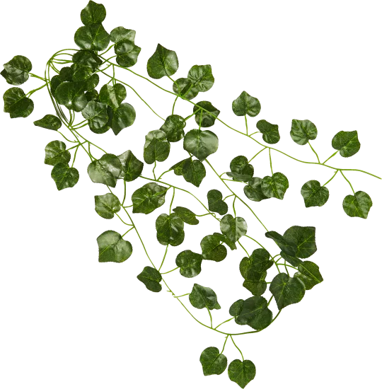 Искусственное растение Лиана Плющ вечнозеленый h230 см ПВХ цвет зеленый