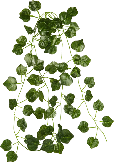 Искусственное растение Лиана Плющ вечнозеленый h230 см ПВХ цвет зеленый