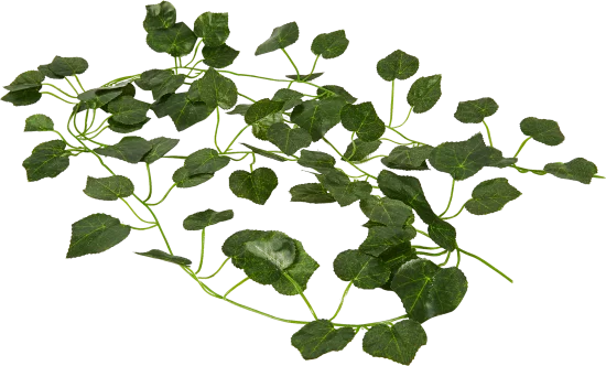 Искусственное растение Лиана Плющ вечнозеленый h230 см ПВХ цвет зеленый