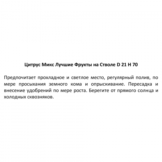 Цитрус микс ø21 h70 см