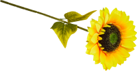 Искусственный цветок Подсолнух 20x47 см ПВХ цвет разноцветный