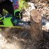 Пила аккумуляторная Бесщеточная Greenworks 2005707UA 40 В 35 см АКБ и ЗУ в комплекте