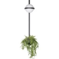 Бра LOFT IT Jardin