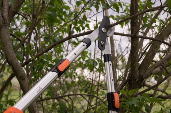 Сучкорез садовый Plantic Pro 80 69 см оранжевый