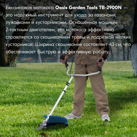 Триммер бензиновый Oasis TB-2900N Вт N 3.8 л.с.