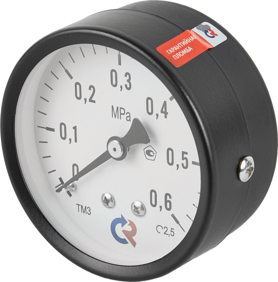 Манометр осевой Росма ТМ-310Т.00 6 бар 1/4