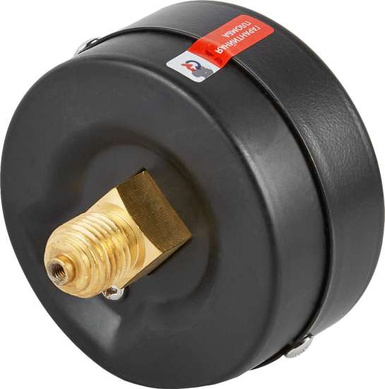 Манометр осевой Росма ТМ-310Т.00 6 бар 1/4