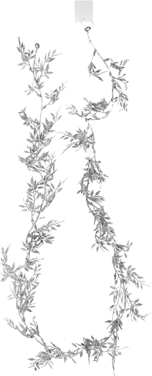 Новогоднее украшение Изделие декоративное Гирлянда 10x175 см цвет серый