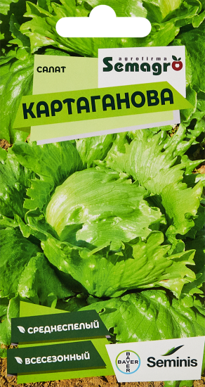 Семена салат Картаганова