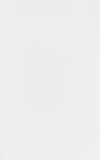 Дверь для шкафа Лион 39.6x63.6x1.6 см ЛДСП цвет белый лак