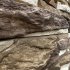 Искусственный камень угловой White Hills Уорд Хилл светло-песочный (8 шт.=0,8 пог.м)