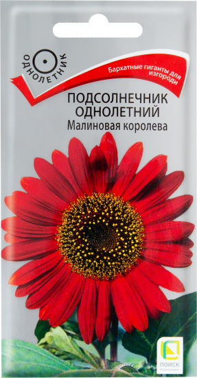 Подсолнечник однолетний «Малиновая королева», 6 г