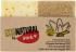 Губки для посуды York «Eco Natural» 2 шт