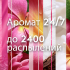 Сменный баллон Glade Кокосовый Бали 269 мл