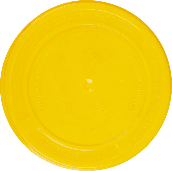 Крышка ТО 100 пластик