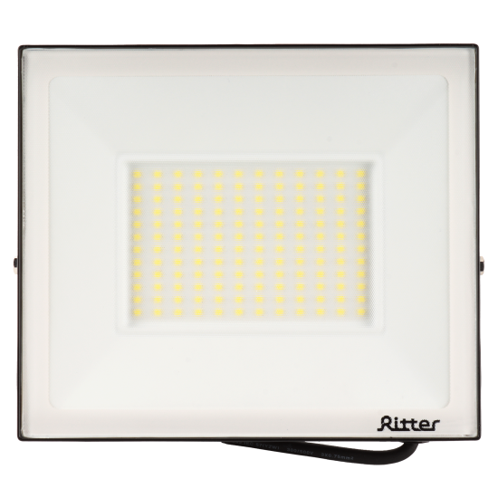 Прожектор светодиодный уличный Ritter Profi 100 Вт 2700К IP65 теплый белый свет