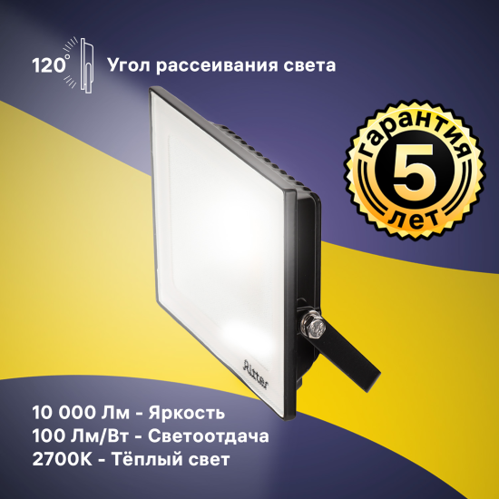 Прожектор светодиодный уличный Ritter Profi 100 Вт 2700К IP65 теплый белый свет