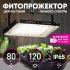 Фитопрожектор светодиодный Эра FITO-80W-Ra90 с подставкой 80 Вт светло-розового спектра влагостойкий