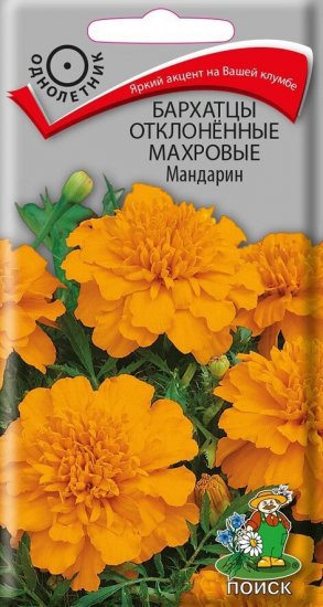 Семена цветов Поиск бархатцы отклоненные махровые Мандарин