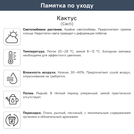 Кактус микс ø5 h10 см Росток