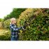Кусторез Ryobi RHT36B61R