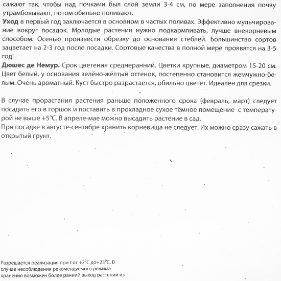 Пион травянистый «Дюшес де Немур»