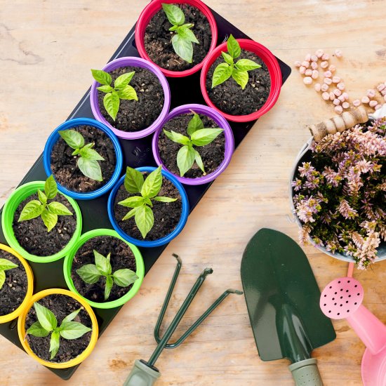 Набор для рассады с подставкой Радуга 10 шт