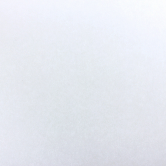 Холст под покраску флизелиновый Practic Vliesband 1.06x23.6 м 150г/м²