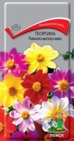 Семена Георгина «Пикколо Мигнон Микс»