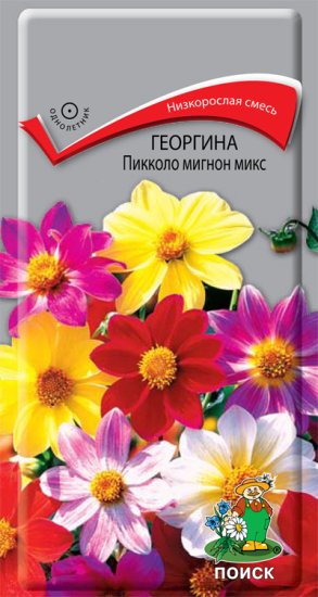 Семена Георгина «Пикколо Мигнон Микс»
