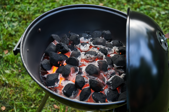 Брикеты топливные Forester древесноугольные 1.8 кг