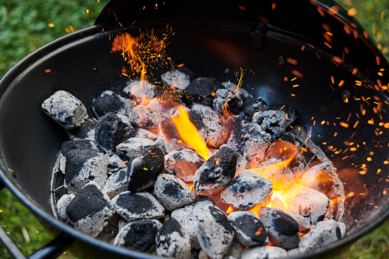 Брикеты топливные Forester древесноугольные 1.8 кг