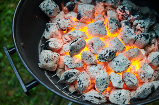 Брикеты топливные Forester древесноугольные 1.8 кг