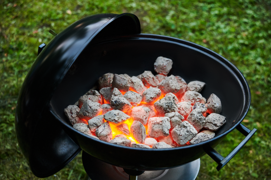 Брикеты топливные Forester древесноугольные 1.8 кг