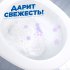 Средство для чистки унитаза Туалетный утенок Свежесть 500 мл