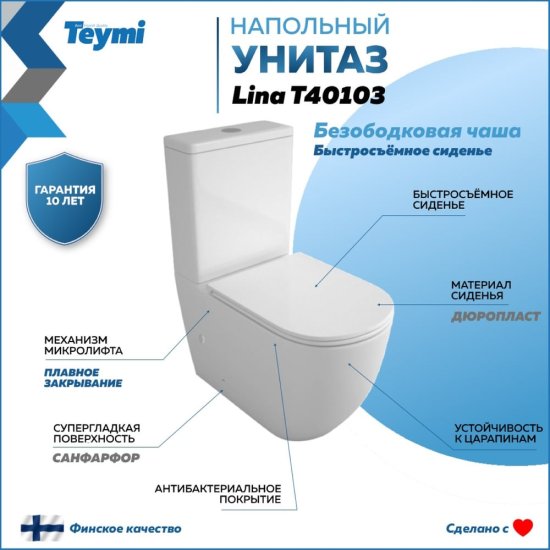 Безободковый напольный унитаз Teymi Lina T40103
