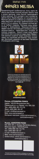 Гортензия метельчатая Фрайз Мелба