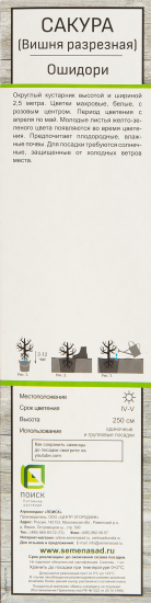 Сакура Ошидори в тубе Поиск Инвест