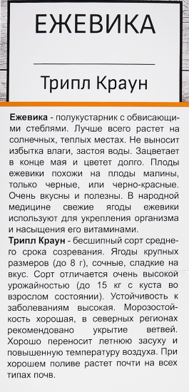Ежевика Трипл Краун в тубе Поиск Инвест