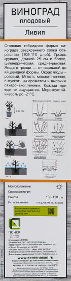 Виноград плодовый Ливия h60 см
