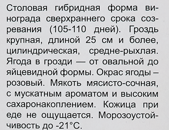 Виноград плодовый Ливия h60 см