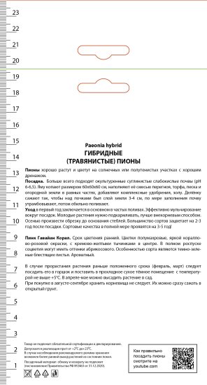 Пион молочноцветковый травянистый «Пинк Гавайан Корал» разбор 1-2