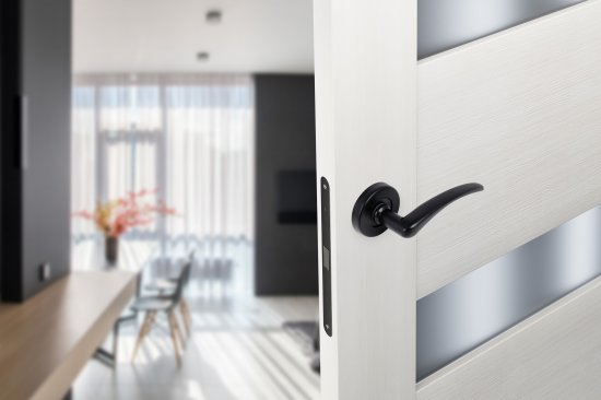 Комплект дверных ручек на розетке Edson E 015-S цвет черный