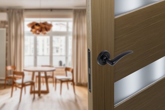 Комплект дверных ручек на розетке Edson E 015-S цвет черный