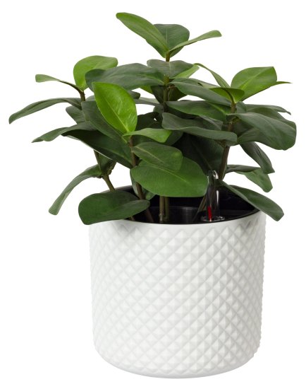 Кашпо для цветов Фасет ø18 h16.5 см v3.5 л с автополивом полипропилен белый